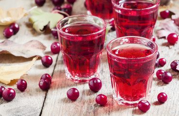 Autumn cranberry cocktail on the old wooden background, selectiv