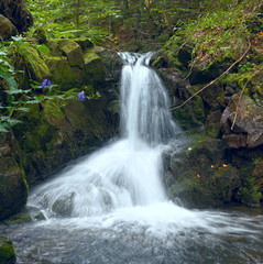 Waterfall in mountain forest