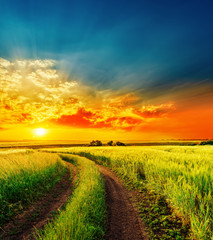 Fototapeta premium red sunset over green field with road