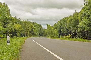 empty road in forest - thailand