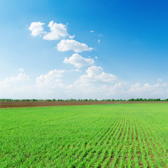 white clouds in blue sky over green spring field