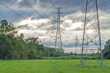 high voltage post, Electric post and tree at rice field in twilight.

