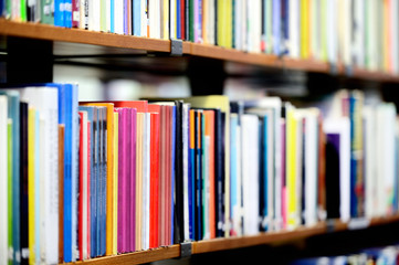 Library bookshelf