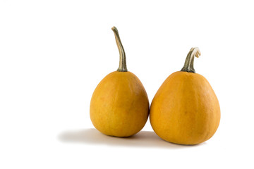 маленькие тыквы