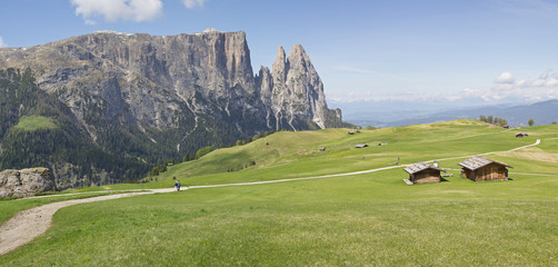 Fototapeta na wymiar Auf der Seiser Alm in Südtirol