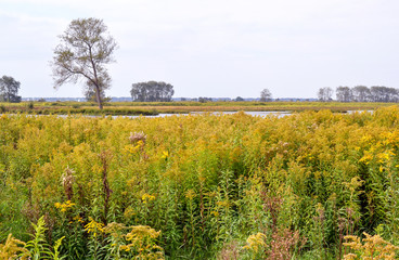Landscape on nature island Tiengemeten.