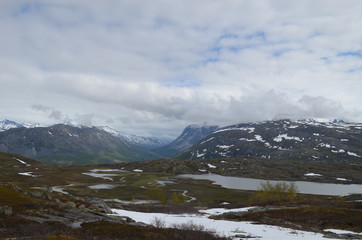 Subarctic tundra in Norwegian mountains