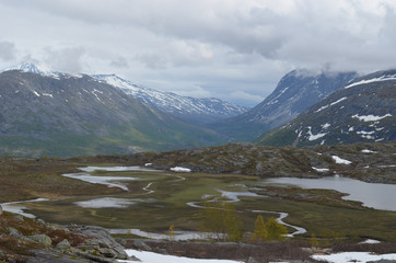 Fototapeta na wymiar Subarctic tundra in Norwegian mountains, northern Scanned