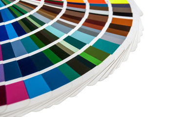 Color palette ( pantone ) on white background