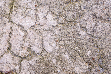 Wall of plaster