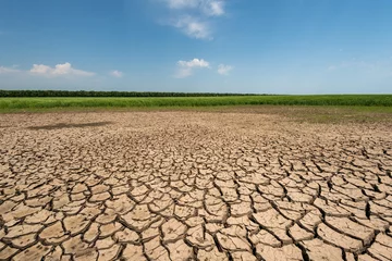 Gordijnen  Drought land © diyanadimitrova