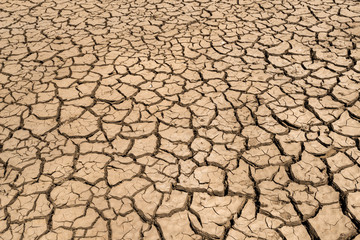  Drought land