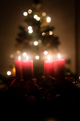 Christmas tree and advent wreath 