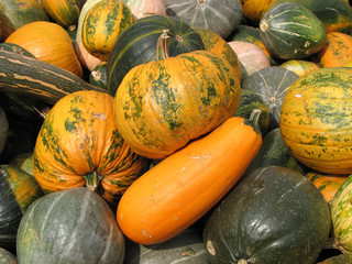 Pumpkins and zucchini