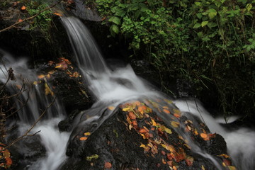 Fototapeta na wymiar cascade de Vaucoux, Auvergne