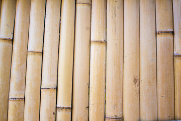 Background of a bamboo fence