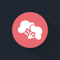 Broccoli icon