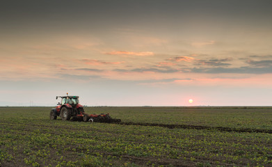 Naklejka premium tractor plowing a field