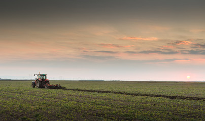 Fototapeta premium tractor plowing a field