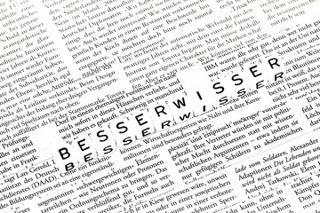 Besserwisser