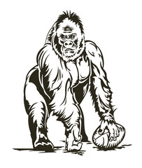 Vector illustration: gorilla with ball