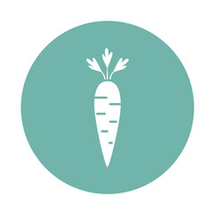 Carrots icon