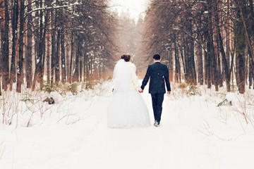 Fototapeta na wymiar bride and groom in the winter woods