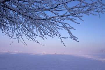 Fototapeta na wymiar Sunny foggy winter landscape