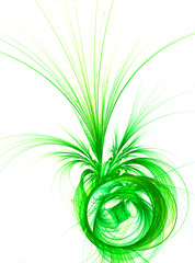 Abstract green plant with white background