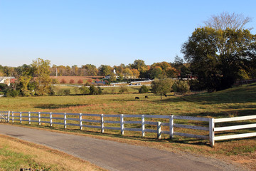 Fototapeta na wymiar Typical American farm landscape in the fall, Barboursville, Virginia