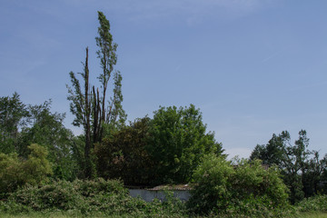 Obraz premium Forgotten house 