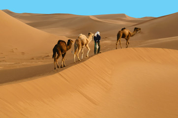 Fototapeta na wymiar Caravan in desert