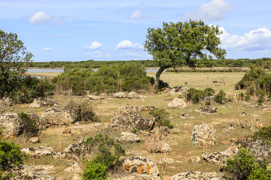 Nationaal park Giara di Gesturi