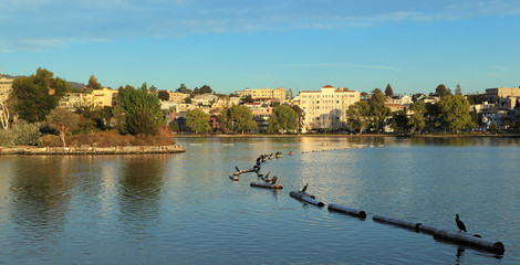 Looking east across Lake Merritt, Oakland, California.