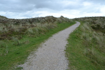 schelpenpaadje in natuurgebied in de duinen