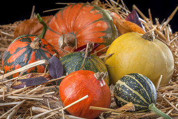 Various types of pumpkins in the straw on the old wooden table