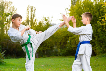 boys in white kimono during training karate exercises at summer © Kostiantyn