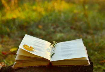 Vintage book of poetry outdoors