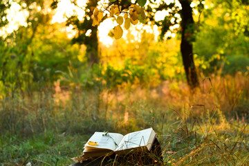 Vintage book of poetry outdoors under a tree