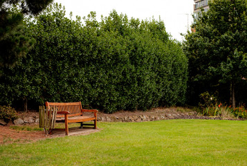 Wooden armchair in the garden