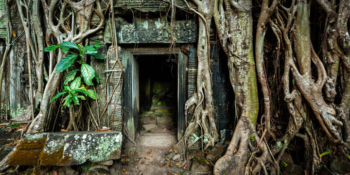 Ancient stone door and tree roots, Ta Prohm temple