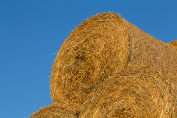 Piled hay bales on a field against blue sky