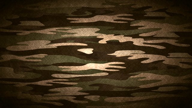 Military camouflage, video animation