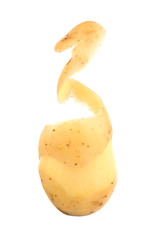 Young potato isolated on white