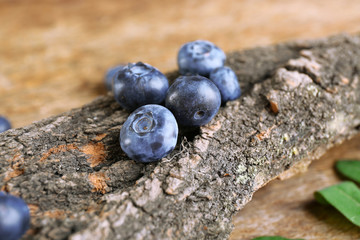 Fresh blueberries with tree on wooden table, closeup