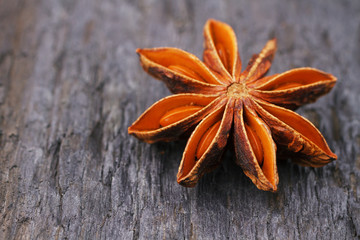 Anise star