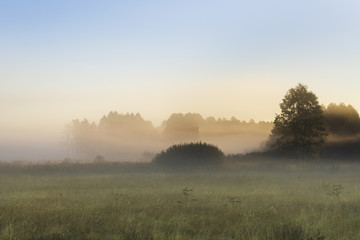 Morning fog in the Kruszyniany, Poland