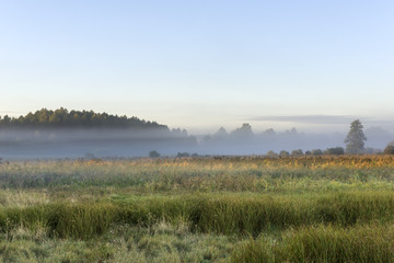 Obraz na płótnie Canvas Foggy meadow during the sunrise in Poland