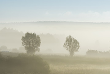 Fototapeta na wymiar Foggy morning in the autumn time in Poland