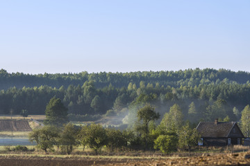 Misty morning landscape in Poland